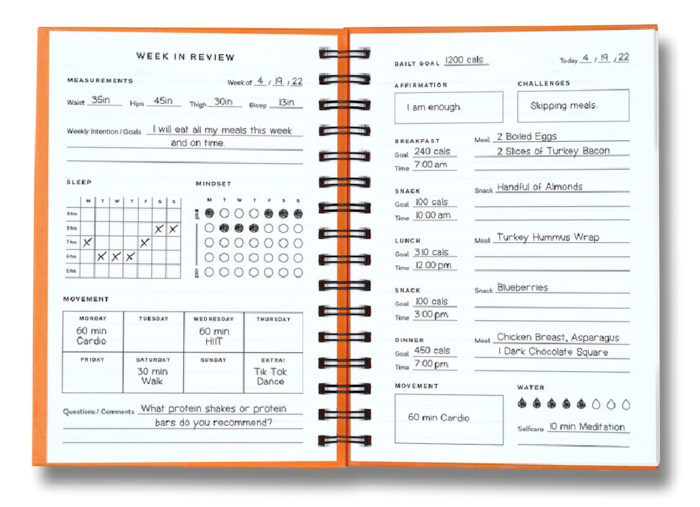 Six Month Wellness Journal - Image 5